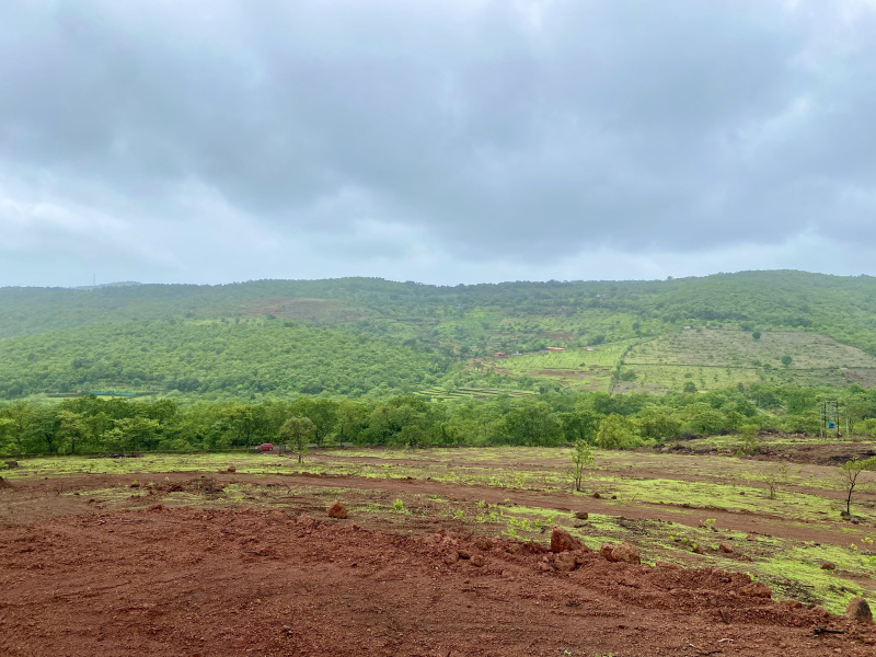  20000 Sq.ft. Residential Plot for Sale in Roha, Raigad