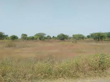  Agricultural Land for Sale in Gumgaon, Nagpur