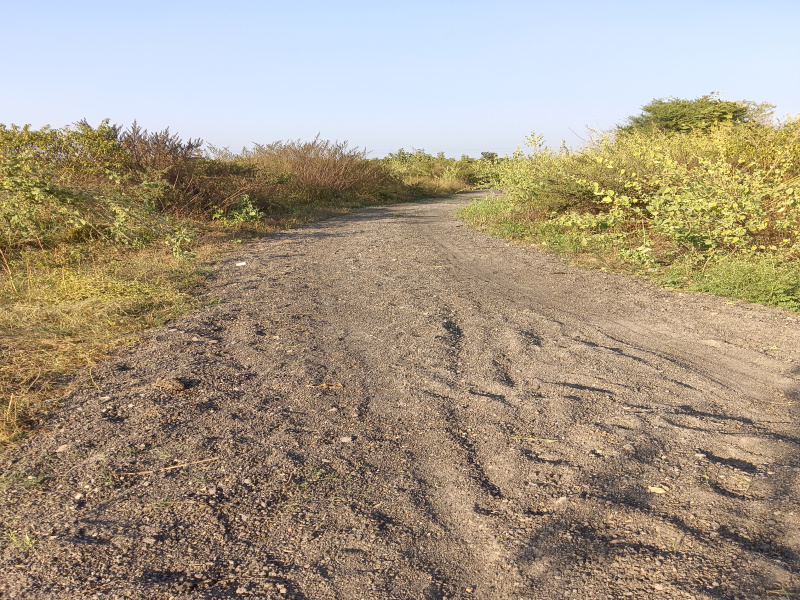  Agricultural Land 4 Acre for Sale in Pardi, Nagpur