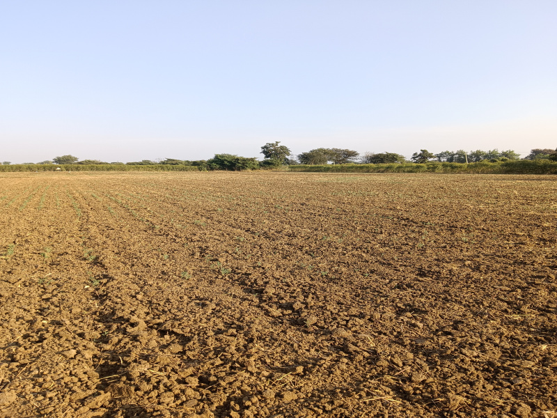  Agricultural Land 4 Acre for Sale in Pardi, Nagpur