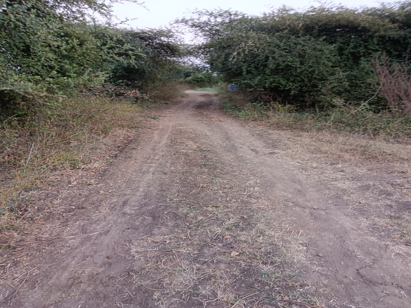  Agricultural Land 1 Acre for Sale in Walani, Nagpur