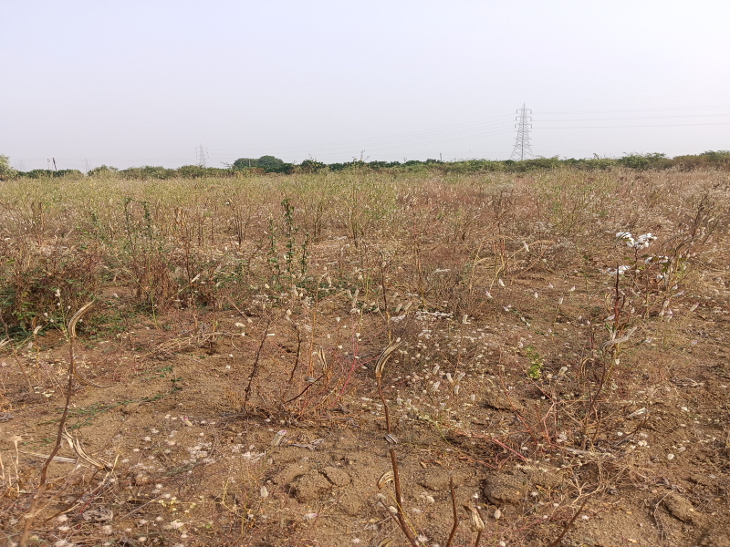  Agricultural Land 2 Acre for Sale in Kalameshwar, Nagpur