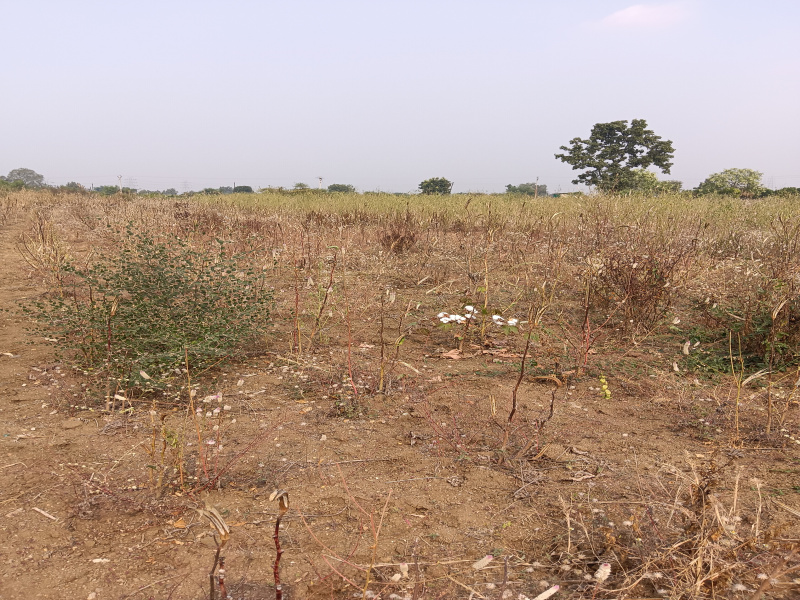  Agricultural Land 2 Acre for Sale in Kalameshwar, Nagpur