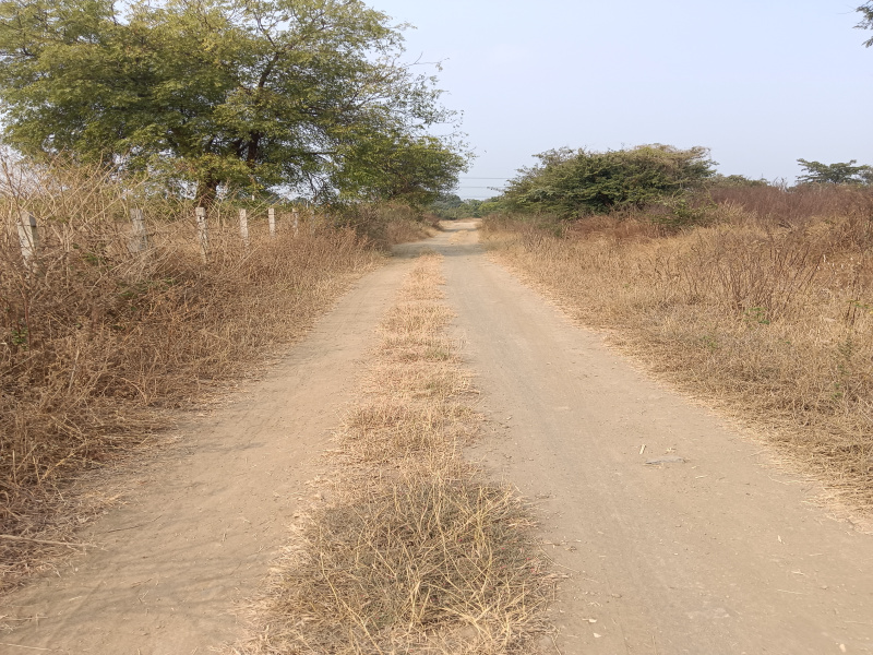  Agricultural Land 2 Acre for Sale in Kalameshwar, Nagpur