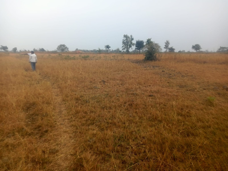  Agricultural Land 32 Acre for Sale in Malegaon, Nagpur