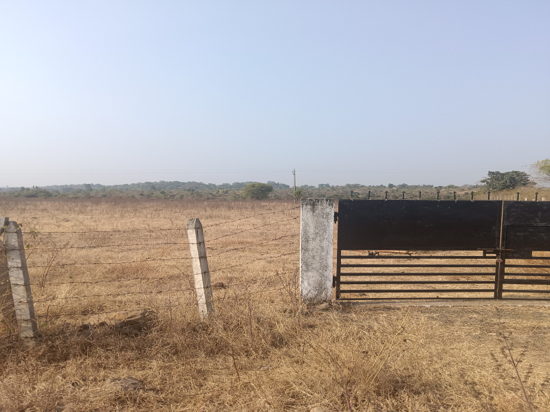  Agricultural Land 3 Acre for Sale in Jafar Nagar, Nagpur