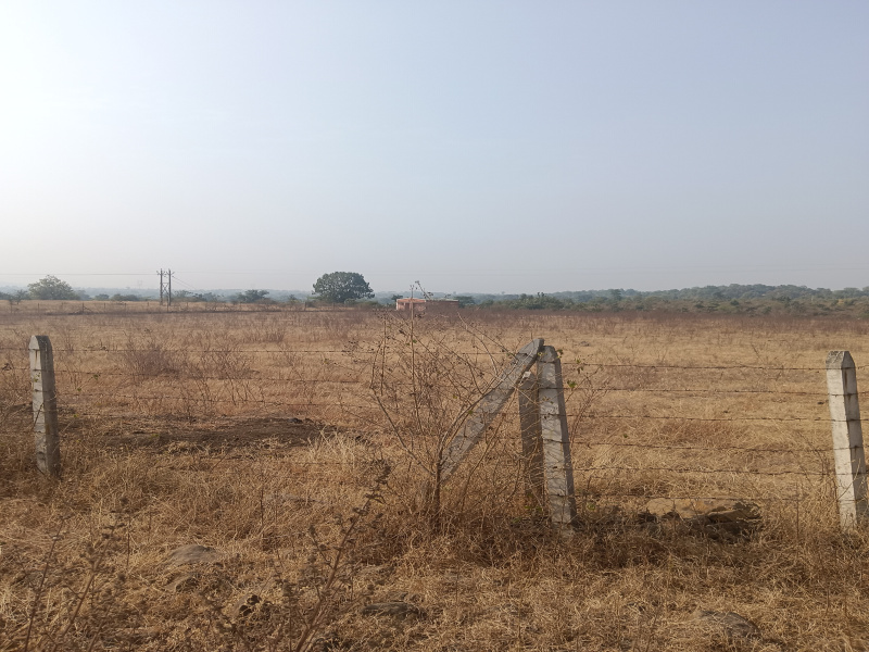  Agricultural Land 3 Acre for Sale in Jafar Nagar, Nagpur