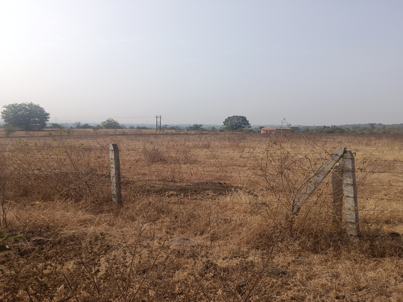  Agricultural Land 3 Acre for Sale in Jafar Nagar, Nagpur