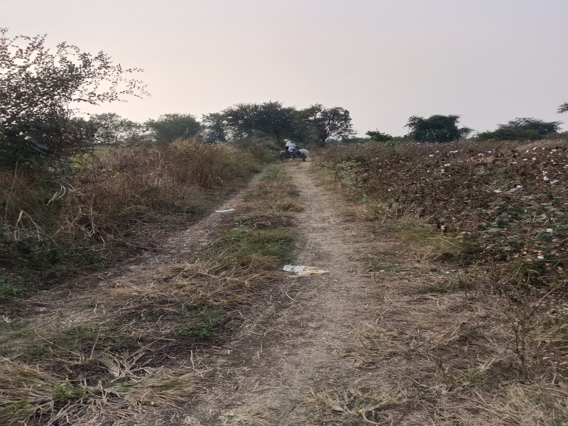  Agricultural Land 2 Acre for Sale in Kalameshwar, Nagpur