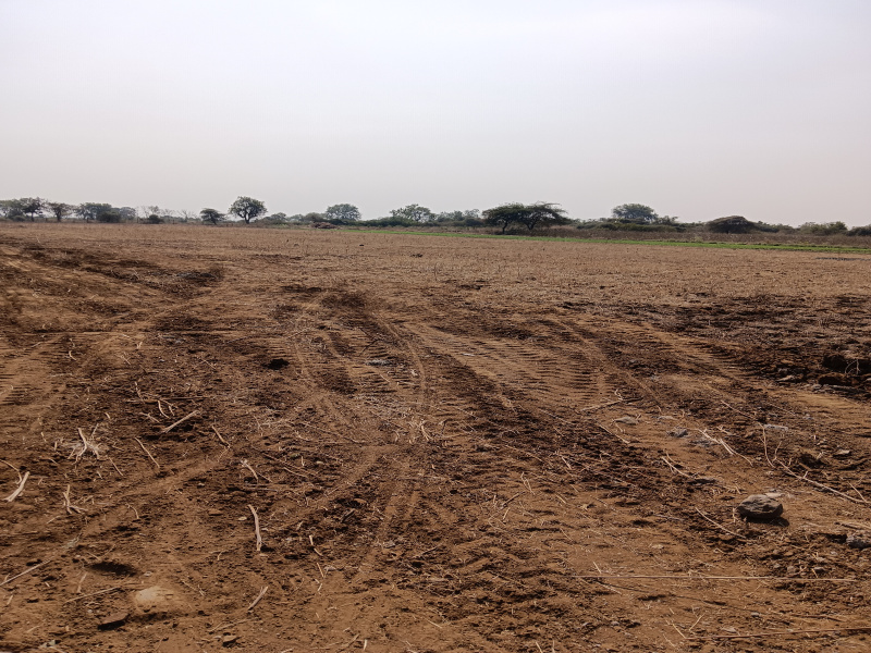  Agricultural Land 3 Acre for Sale in Wardha Road, Nagpur