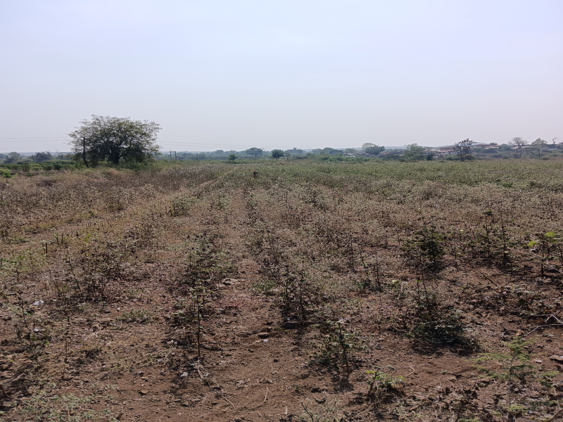  Agricultural Land 4 Acre for Sale in Katol, Nagpur