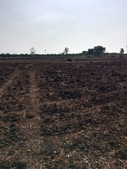  Agricultural Land for Sale in Katol, Nagpur