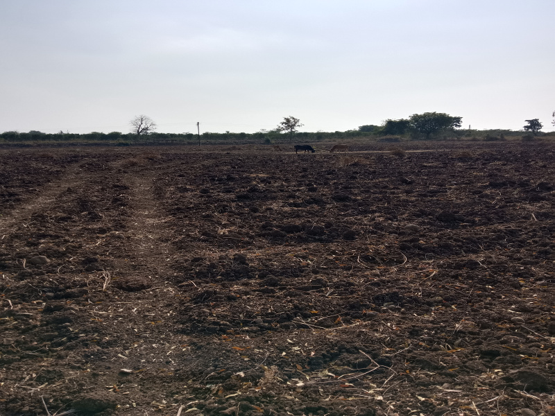  Agricultural Land 3 Acre for Sale in Katol, Nagpur