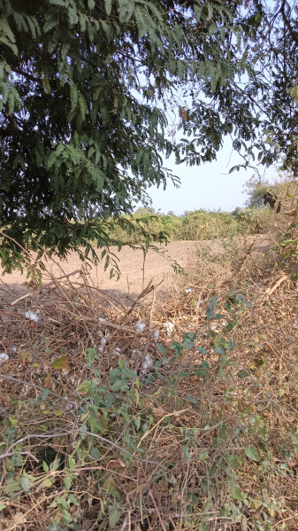  Agricultural Land 2 Acre for Sale in Katol, Nagpur