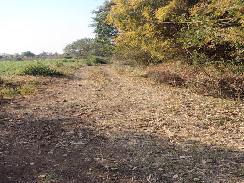  Agricultural Land 5 Acre for Sale in Kalameshwar, Nagpur