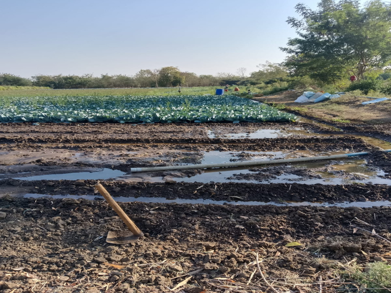  Agricultural Land 5 Acre for Sale in Kalameshwar, Nagpur