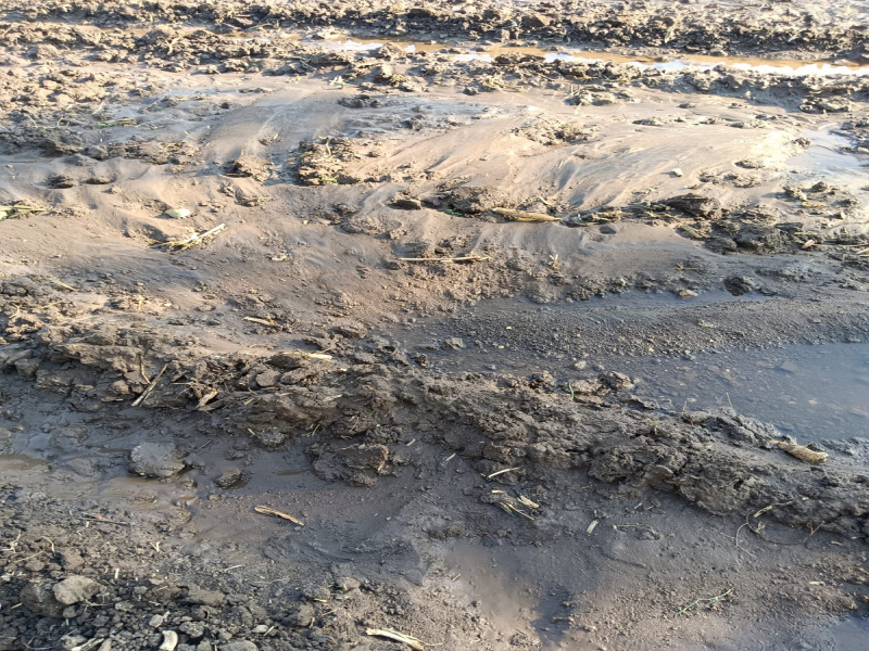  Agricultural Land 5 Acre for Sale in Kalameshwar, Nagpur