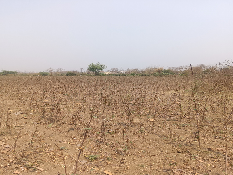  Agricultural Land 3 Acre for Sale in Kalameshwar, Nagpur