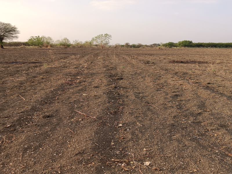  Agricultural Land 1 Acre for Sale in Kalameshwar, Nagpur