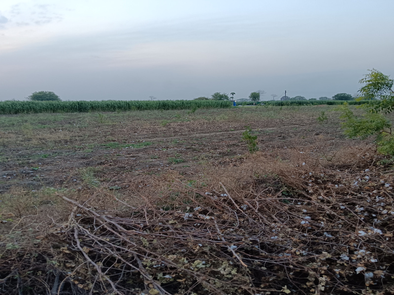  Agricultural Land 1 Acre for Sale in Kalameshwar, Nagpur