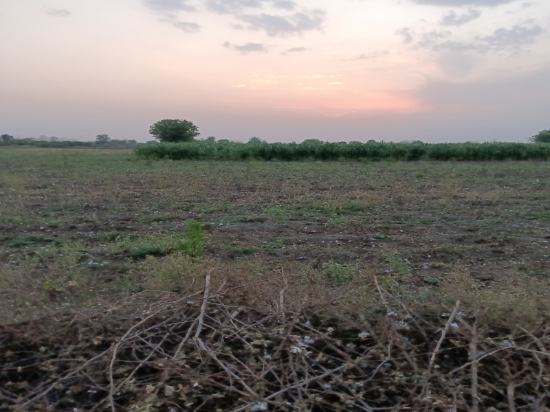 Agricultural Land 1 Acre for Sale in Kalameshwar, Nagpur