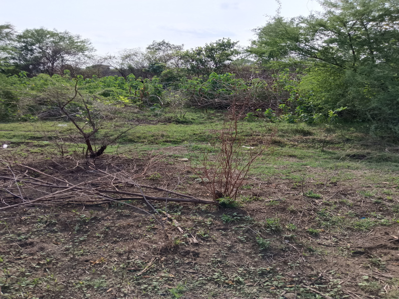  Agricultural Land 0 Acre for Sale in Kalameshwar, Nagpur