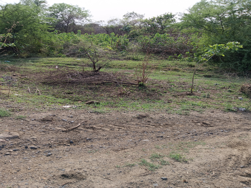  Agricultural Land 0 Acre for Sale in Kalameshwar, Nagpur