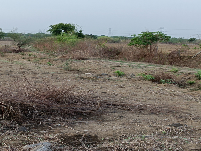  Agricultural Land 4 Acre for Sale in Khapri, Nagpur