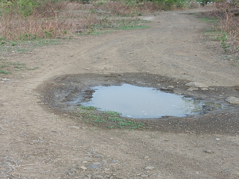  Agricultural Land 4 Acre for Sale in Khapri, Nagpur