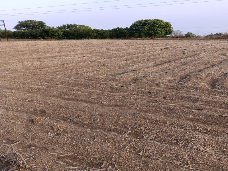  Agricultural Land 2 Acre for Sale in Khapri, Nagpur