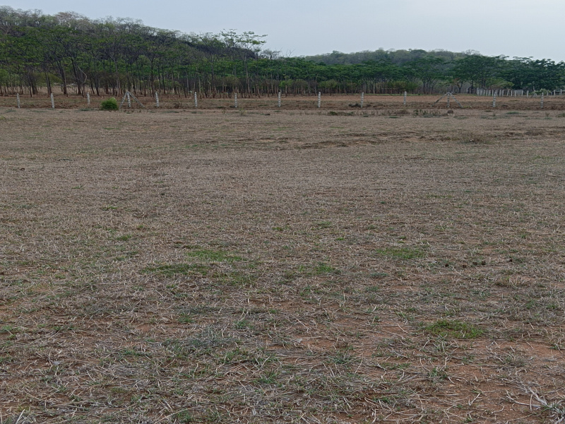  Agricultural Land 5 Acre for Sale in Kalameshwar, Nagpur