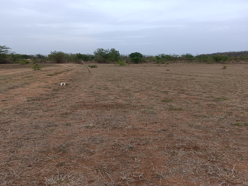  Agricultural Land 5 Acre for Sale in Kalameshwar, Nagpur