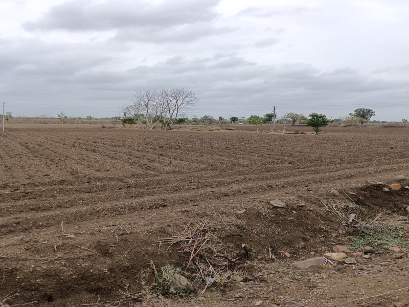  Agricultural Land 3 Acre for Sale in Umred, Nagpur