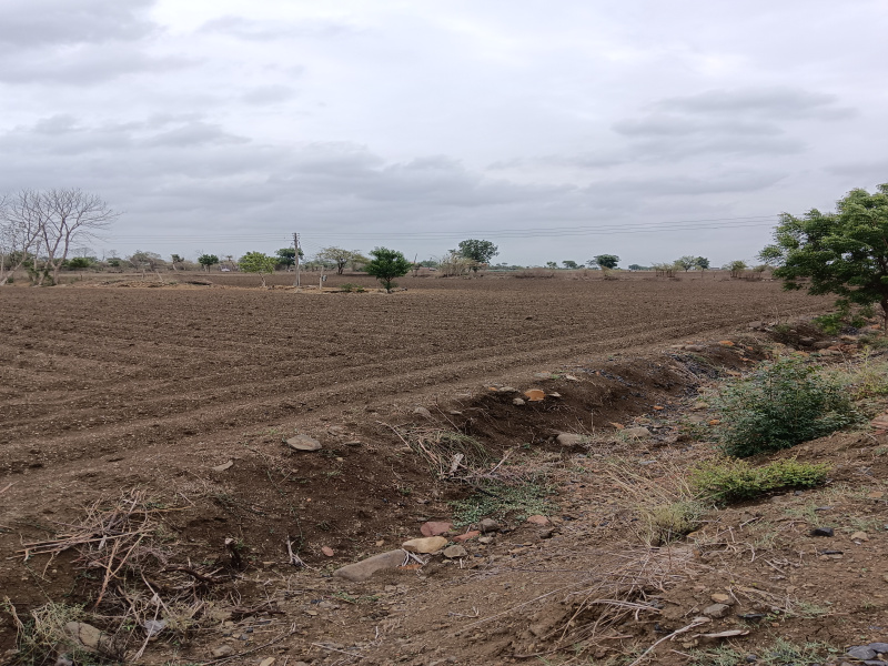  Agricultural Land 3 Acre for Sale in Umred, Nagpur