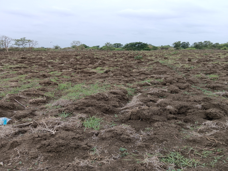 5 Acre Agricultural/Farm Land for Sale in Kalameshwar, Nagpur