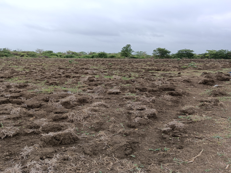 5 Acre Agricultural/Farm Land for Sale in Kalameshwar, Nagpur