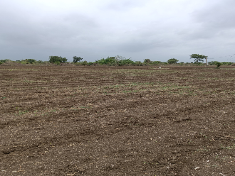  Agricultural Land 3 Acre for Sale in Kalameshwar, Nagpur