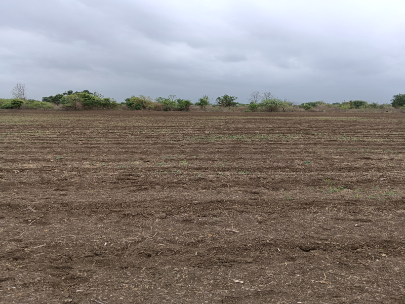 Agricultural Land 3 Acre for Sale in Kalameshwar, Nagpur