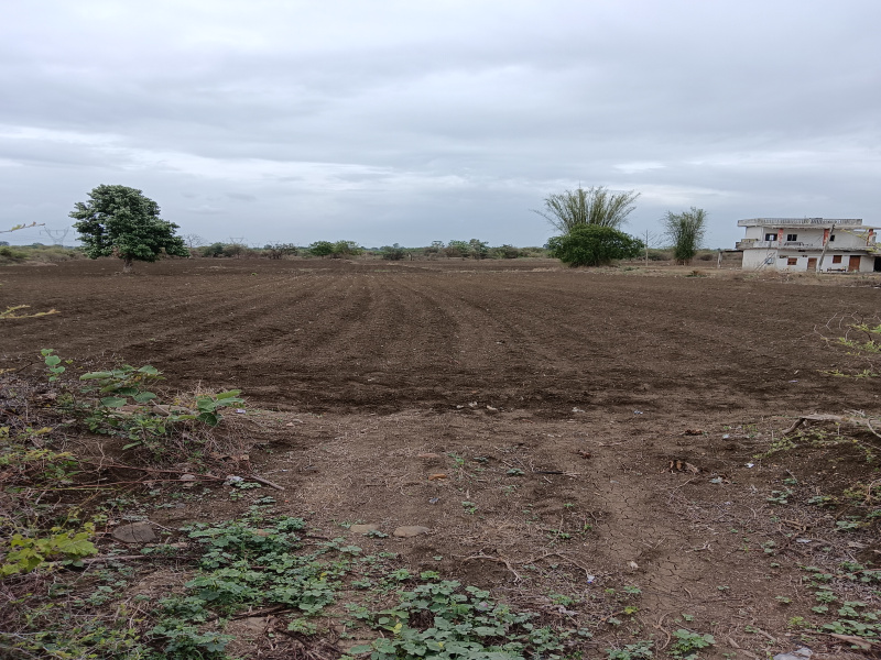  Agricultural Land 5 Acre for Sale in Kalameshwar, Nagpur