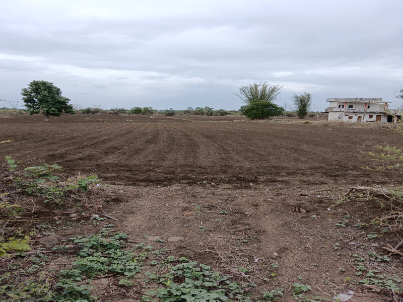  Agricultural Land 5 Acre for Sale in Kalameshwar, Nagpur