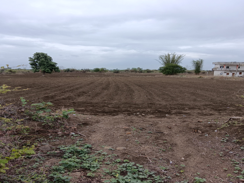  Agricultural Land 5 Acre for Sale in Kalameshwar, Nagpur