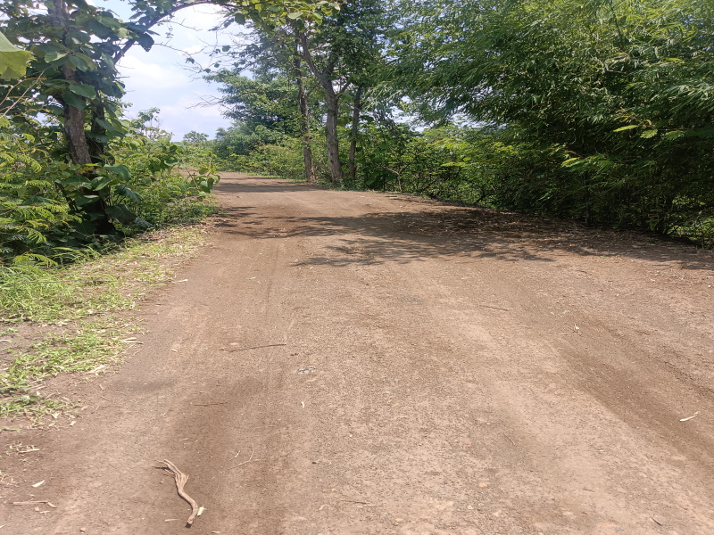  Agricultural Land 4 Acre for Sale in Dhamna, Nagpur