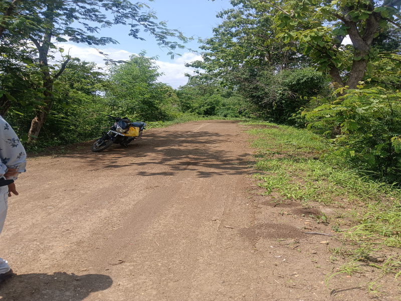  Agricultural Land 4 Acre for Sale in Dhamna, Nagpur