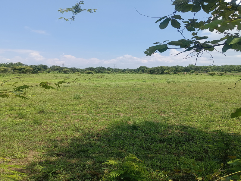  Agricultural Land 4 Acre for Sale in Dhamna, Nagpur