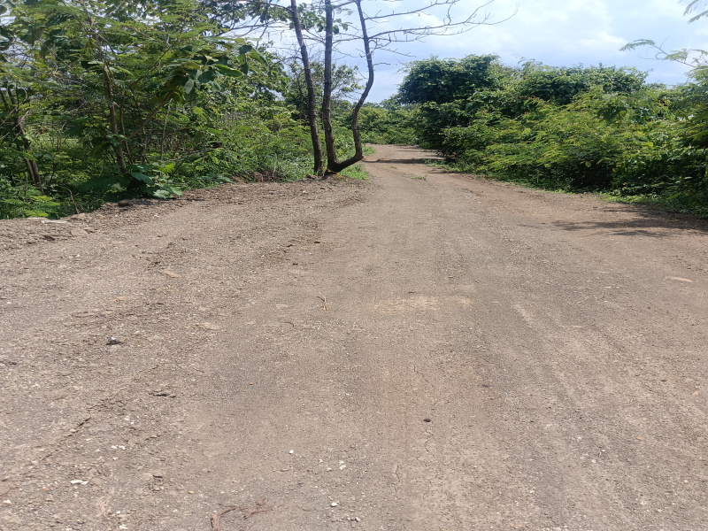  Agricultural Land 8 Acre for Sale in Wadi, Nagpur