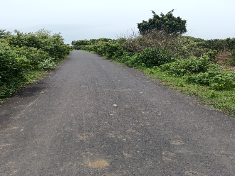  Agricultural Land 4 Acre for Sale in Kondhali, Nagpur