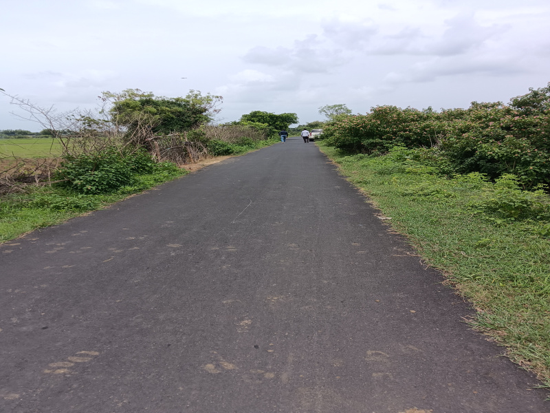  Agricultural Land 4 Acre for Sale in Kondhali, Nagpur