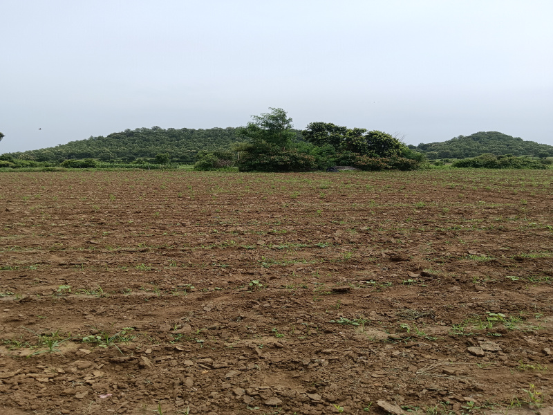  Agricultural Land 4 Acre for Sale in Kondhali, Nagpur