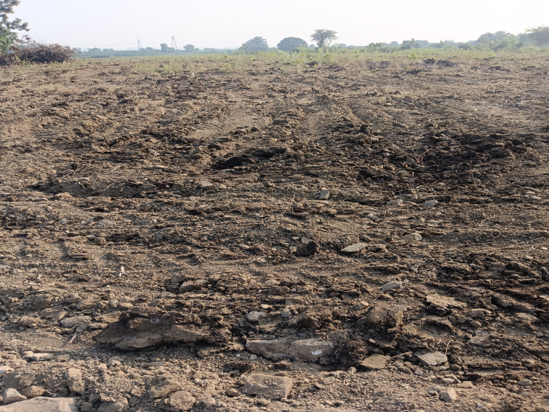 5 Acre Agricultural/Farm Land for Sale in Kalameshwar, Nagpur