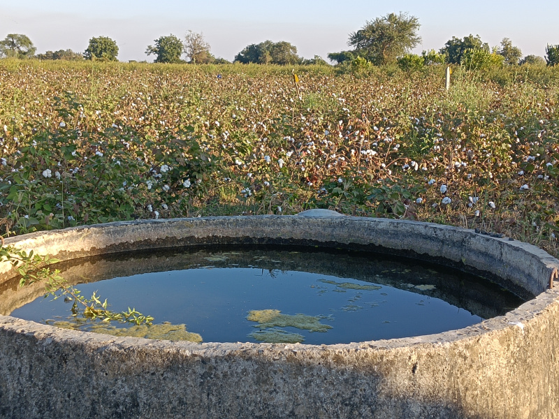  1 Acre Agricultural/Farm Land for Sale in Kalameshwar, Nagpur